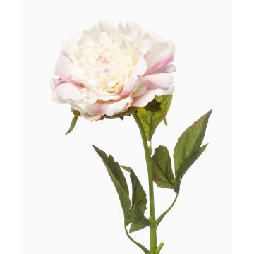 Pivoine artificielle GAVRON, blanc-rose, 55 cm