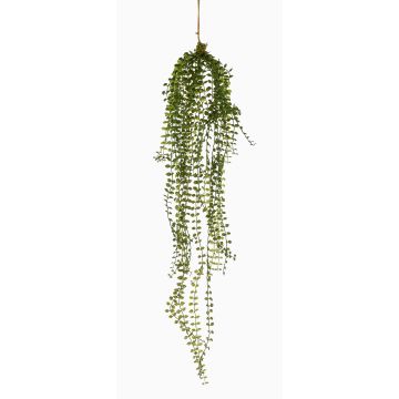Plante artificielle Suspension de ficus pumila LIVIAN, vert, 90cm