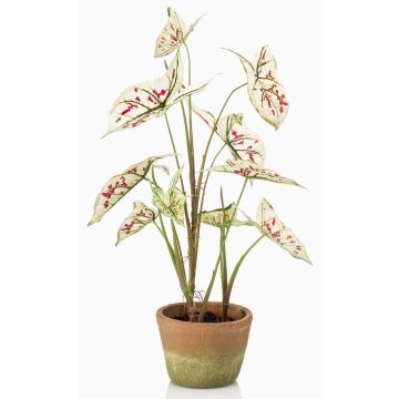 Plante artificielle Syngonium YOMREL dans un pot en terre cuite, crème-rouge, 60 cm Plante artificielle Syngonium YOMREL dans un pot en terre cuite, crème-rouge, 60 cm