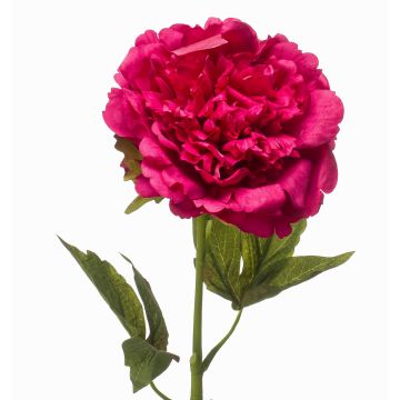 Pivoine artificielle GAVRON, rose vif, 55 cm Pivoine artificielle GAVRON, rose vif, 55 cm