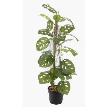 Plante artificielle Philodendron monstera adansonii BRINOL, pot décoratif, racines aériennes, 80 cm