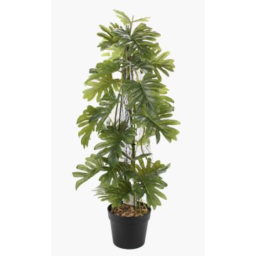 Plante artificielle Philodendron selloum BRINOL, pot décoratif, racines aériennes, 80 cm
