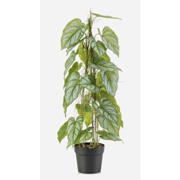 Plante artificielle « fleur de flamant rose » BRINOL, pot décoratif, racines aériennes, verte, 80 cm Plante artificielle « fleur de flamant rose » BRINOL, pot décoratif, racines aériennes, verte, 80 cm