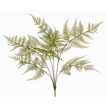 Plante artificielle fougère épée MELFIR, sur tige, crossdoor, verte, 65 cm