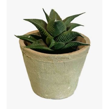 Plante succulente artificielle Haworthia limifolia GLOFER dans un pot en terre cuite, vert foncé, 13 cm