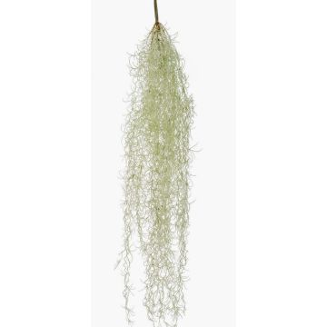 Plante succulente artificielle Tillandsia usneoides BRAVIK, tige, difficilement inflammable, grise, 85 cm Plante succulente artificielle Tillandsia usneoides BRAVIK, tige, difficilement inflammable, grise, 85 cm