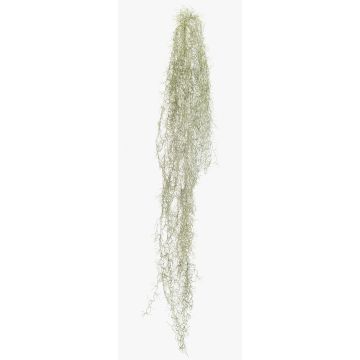 Plante succulente artificielle Tillandsia usneoides BRAVIK, tige, difficilement inflammable, grise, 150 cm