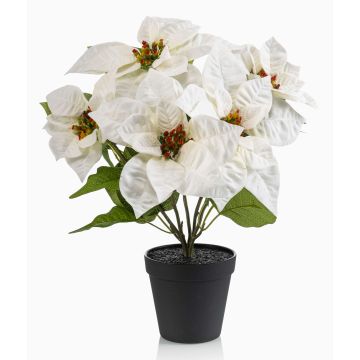 Étoile de Noël artificielle GRULEN dans un pot décoratif, crème, 40 cm