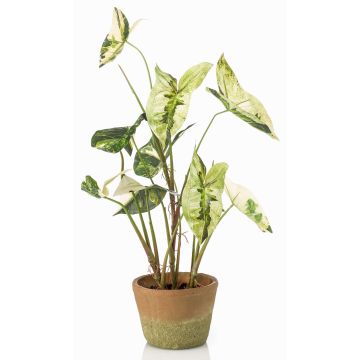 Plante artificielle Syngonium YOMREL dans un pot en terre cuite, vert et blanc, 60 cm Plante artificielle Syngonium YOMREL dans un pot en terre cuite, vert et blanc, 60 cm