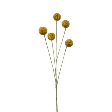 Fausse craspedia globosa AMELDA, jaune, 70cm