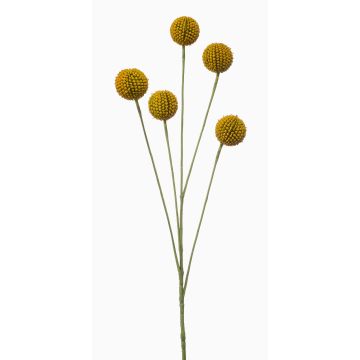Fausse craspedia globosa AMELDA, jaune, 70cm