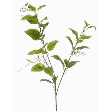 Branche décorative de clématite VLORIX, vert-crème, 105 cm