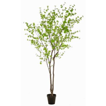 Arbre artificiel de capucine NEVKAR dans un pot décoratif, troncs artificiels, vert, 300 cm