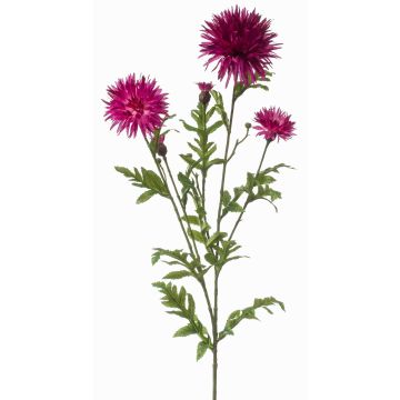 Branche décorative de bleuet BROLIX, rose fuchsia, 100cm, Ø6-12cm Branche décorative de bleuet BROLIX, rose fuchsia, 100cm, Ø6-12cm