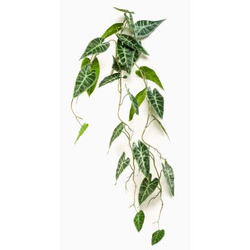 Plante artificielle Alocasia sanderiana EXEVLO sur tige, retombante, verte, 80 cm Plante artificielle Alocasia sanderiana EXEVLO sur tige, retombante, verte, 80 cm