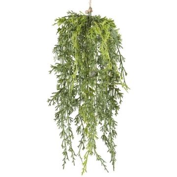 Plante artificielle Cyprès ALYNA, fruits, suspendu, vert, 40cm Plante artificielle Cyprès ALYNA, fruits, suspendu, vert, 40cm
