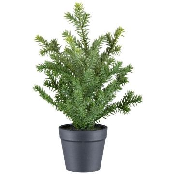 Plante artificielle if KRUHER, pot décoratif, vert, 28 cm Plante artificielle if KRUHER, pot décoratif, vert, 28 cm