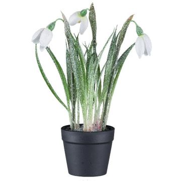 Fleur décorative Perce-neige WASFA en pot décoratif, enneigé, blanc, 20cm