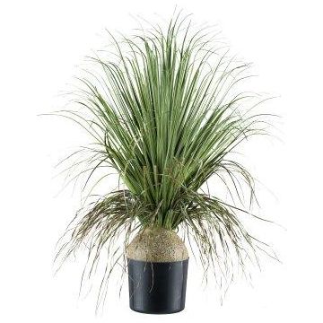 Palmier décoratif COOSA, 70 cm Palmier décoratif COOSA, 70 cm
