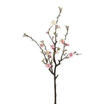 Branche de fleurs de cognassier artificielle VORLIN avec des fleurs, rose clair, 75cm