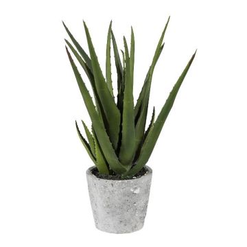 Plante succulente décorative Aloe Vera BRIZE en pot en ciment, vert, 40cm Plante succulente décorative Aloe Vera BRIZE en pot en ciment, vert, 40cm