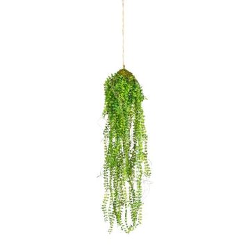 Plante suspendue artificielle Muehlenbeckia STRULH, motte, racines, vert, 70 cm Plante suspendue artificielle Muehlenbeckia STRULH, motte, racines, vert, 70 cm