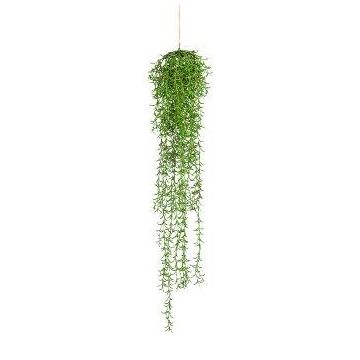Plante succulente artificielle Rhipsalis LANDORY, suspendue, verte, 110 cm Plante succulente artificielle Rhipsalis LANDORY, suspendue, verte, 110 cm