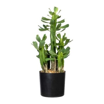 Cactus artificiel Euphorbia trigona MANDOR, vert, 40 cm Cactus artificiel Euphorbia trigona MANDOR, vert, 40 cm