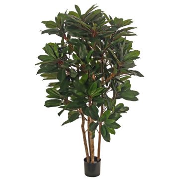 Plante artificielle Schefflera ZULEIKA, tiges naturelles, verte, 120 cm