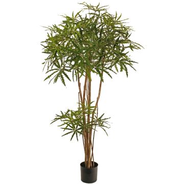 Arbre décoratif Fingeraralie KHIRIA, tiges naturelles, vert, 150 cm Arbre décoratif Fingeraralie KHIRIA, tiges naturelles, vert, 150 cm