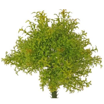 Fougère artificielle PADMA sur tige, vert-marron, 23 cm, Ø 20 cm
