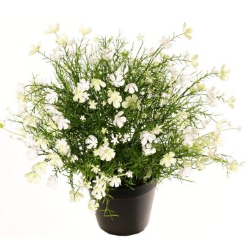 Fleur décorative « Impatiens » GISINDA dans un pot décoratif, blanc-vert, 40 cm Fleur décorative « Impatiens » GISINDA dans un pot décoratif, blanc-vert, 40 cm