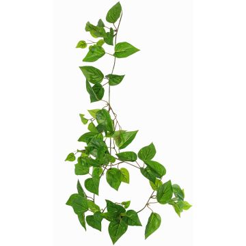 Plante décorative Guirlande de pothos SHELLEY sur piquet, collection écologique, vert, 55cm Plante décorative Guirlande de pothos SHELLEY sur piquet, collection écologique, vert, 55cm