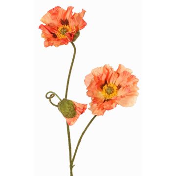 Branche de pavot artificielle PEJA, couleur pêche, 90 cm, Ø 11-13 cm Branche de pavot artificielle PEJA, couleur pêche, 90 cm, Ø 11-13 cm