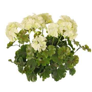 Géranium artificiel MALINA sur tige, crossdoor, crème, 40 cm Géranium artificiel MALINA sur tige, crossdoor, crème, 40 cm