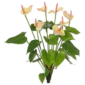 Anthurium artificiel NAKITA sur tige, rose-crème, 50 cm Anthurium artificiel NAKITA sur tige, rose-crème, 50 cm