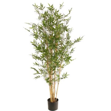 Plante artificielle « Bambou » KEAO, véritables tiges de bambou, 150 cm Plante artificielle « Bambou » KEAO, véritables tiges de bambou, 150 cm