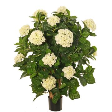 Hortensia artificiel PINDO, crème, 95 cm Hortensia artificiel PINDO, crème, 95 cm