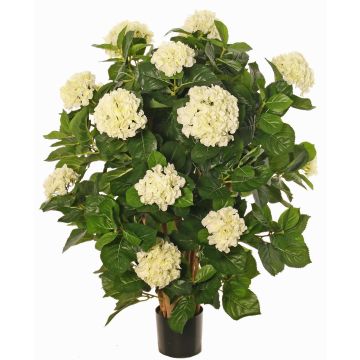 Hortensia artificiel PINDO, crème, 95cm Hortensia artificiel PINDO, crème, 95cm