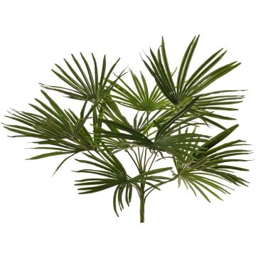 Palmier artificiel Washingtonia SAIMA sur tige, Crossdoor, 50 cm Palmier artificiel Washingtonia SAIMA sur tige, Crossdoor, 50 cm