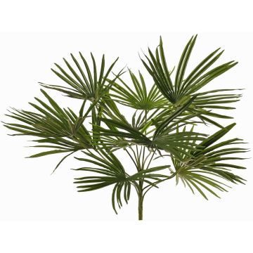Palmier artificiel Washingtonia SAIMA sur tige, Crossdoor, 50cm
