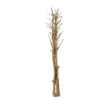Branches séchées HASINA, saule, dorées, 160-200 cm Branches séchées HASINA, saule, dorées, 160-200 cm