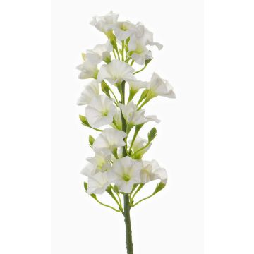 Phlox artificiel ALSA, blanc, 35cm, Ø5cm Phlox artificiel ALSA, blanc, 35cm, Ø5cm