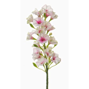 Phlox artificiel ALSA, blanc-rose, 35cm, Ø5cm Phlox artificiel ALSA, blanc-rose, 35cm, Ø5cm