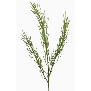 Branche de cyprès artificielle BERFIN, vert, 45cm Branche de cyprès artificielle BERFIN, vert, 45cm