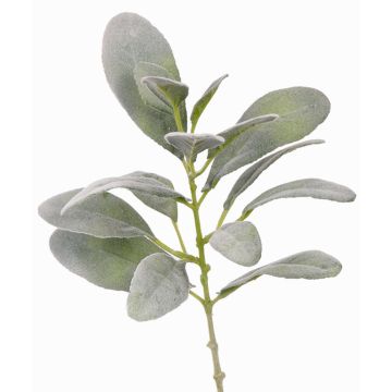 Fausse branche d'épiaire laineuse FERRIS, gris-vert, 40cm Fausse branche d'épiaire laineuse FERRIS, gris-vert, 40cm