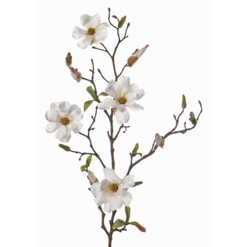 Magnolia artificiel MARGA, blanc-crème, 80cm, Ø6-8cm