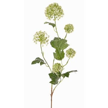 Branche de viburnum opulus artificielle TENSHI, vert, 90cm, Ø5-10cm Branche de viburnum opulus artificielle TENSHI, vert, 90cm, Ø5-10cm