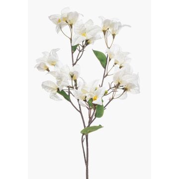 Branche décorative de bougainvillier MOWLER avec fleurs, crème, 70 cm Branche décorative de bougainvillier MOWLER avec fleurs, crème, 70 cm