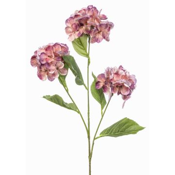 Branche d'hortensia artificielle GRACELYN, pêche-violet, 75 cm Branche d'hortensia artificielle GRACELYN, pêche-violet, 75 cm